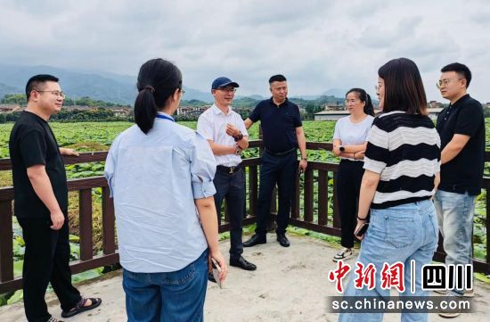 调研现场。邛崃市委统战部 供图 调研现场。邛崃市委统战部 供图