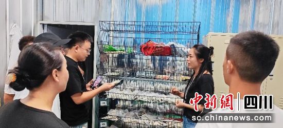 调研现场。邛崃市委统战部 供图 调研现场。邛崃市委统战部 供图