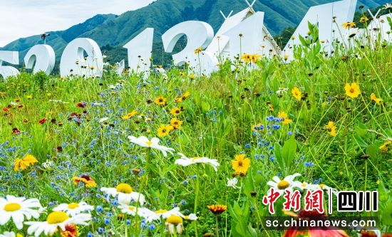 花开孟获城。周万龙 摄 花开孟获城。周万龙 摄