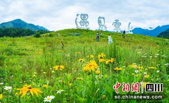 “遇见云上”摄影基地。周万龙 摄 “遇见云上”摄影基地。周万龙 摄
