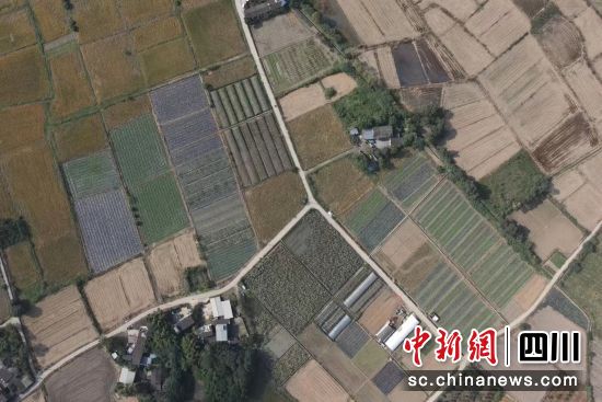 图为成都东部新区一处耕地。成都东部新区 供图 图为成都东部新区一处耕地。成都东部新区 供图
