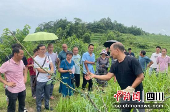 培训现场。富顺融媒 供图 培训现场。富顺融媒 供图