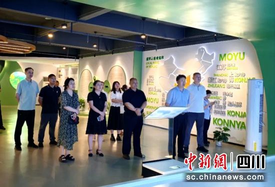 川渝四地市场监管(知识产权)部门实地调研。乐山市市场监管局供图 川渝四地市场监管(知识产权)部门实地调研。乐山市市场监管局供图