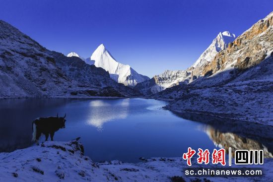踏雪行。曾矛 摄 踏雪行。曾矛 摄
