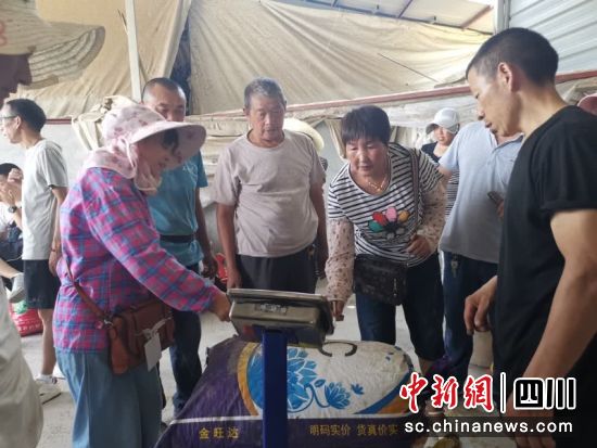 正在称重量。姚阳 摄 正在称重量。姚阳 摄