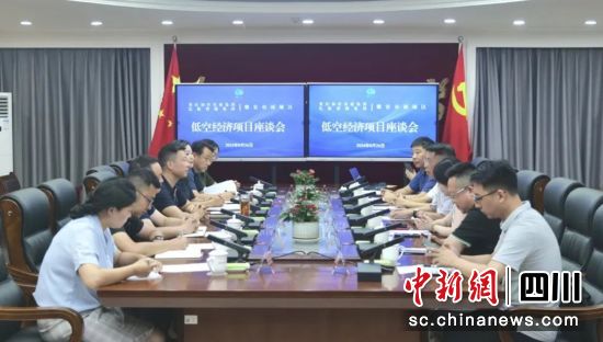 座谈交流。雨城融媒 供图 座谈交流。雨城融媒 供图