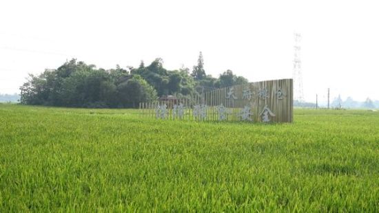 “天府粮仓”彭州片区 “天府粮仓”彭州片区
