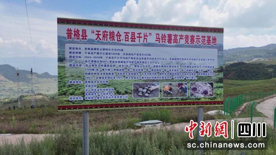 普格县“天府粮仓·百县千片”马铃薯高产竞赛示范基地。四川乡村频道供图 普格县“天府粮仓·百县千片”马铃薯高产竞赛示范基地。四川乡村频道供图