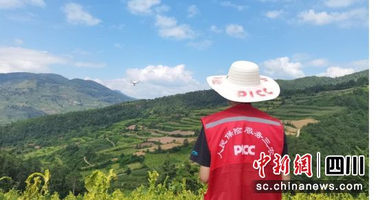 农险科技理赔人员现场航拍受灾烟叶。人保财险凉山分公司供图 农险科技理赔人员现场航拍受灾烟叶。人保财险凉山分公司供图