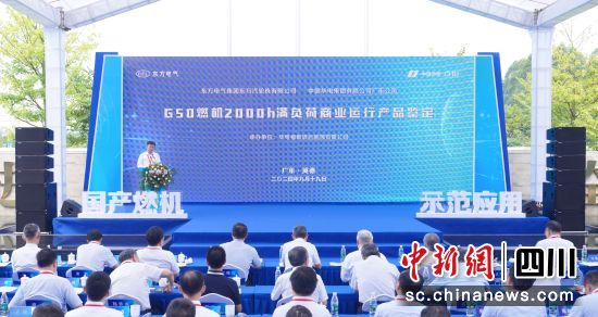 鉴定活动现场。杨玺 摄 鉴定活动现场。杨玺 摄
