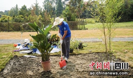 一位参赛者正在进行园艺景观创意设计。郫都区委宣传部 供图 一位参赛者正在进行园艺景观创意设计。郫都区委宣传部 供图