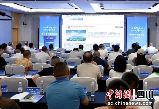 大会现场。四川省节能协会 供图 大会现场。四川省节能协会 供图