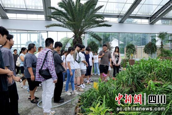 图为活动现场。四川省台联 供图 图为活动现场。四川省台联 供图