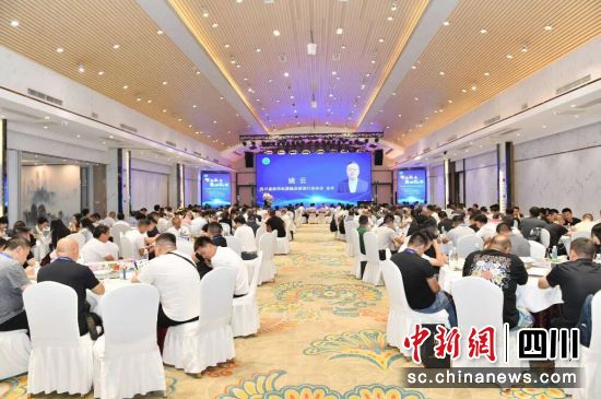 大会现场。成都信用协会供图 大会现场。成都信用协会供图