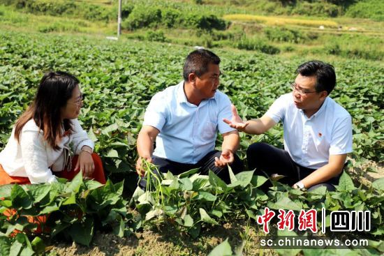 驻村书记与乡镇干部对接通过普惠金融谋发展促增收。中国人寿寿险公司供图 驻村书记与乡镇干部对接通过普惠金融谋发展促增收。中国人寿寿险公司供图