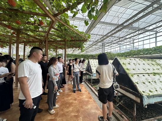 培训班学员进行现场观摩 培训班学员进行现场观摩