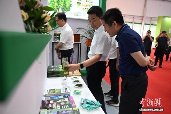 链博会观众品尝四川南充的桑叶茶。 张浪 摄 链博会观众品尝四川南充的桑叶茶。 张浪 摄