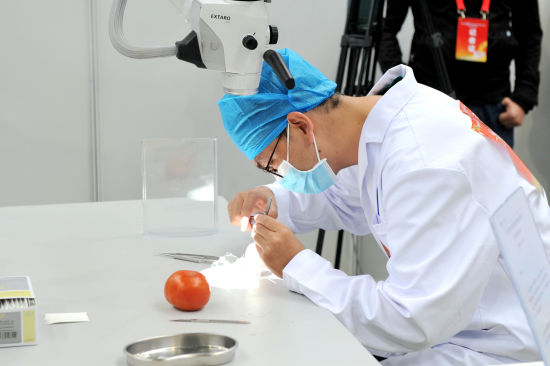 比赛现场 比赛现场