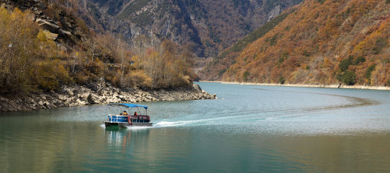 ����ƺ���� ������/��