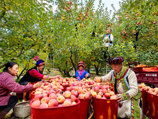 ���츻ʿ���ղ���æ�� Ҧ����/�� 