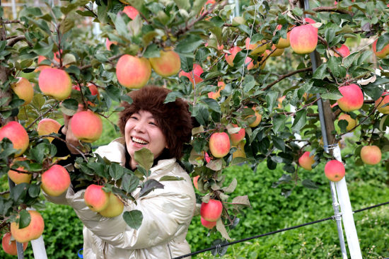 ����ժ�֡� Ҧ����/��