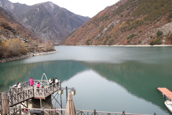 ���ο��;��� Ҷ��/��