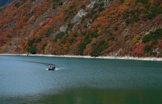 �������δ��� ����/��