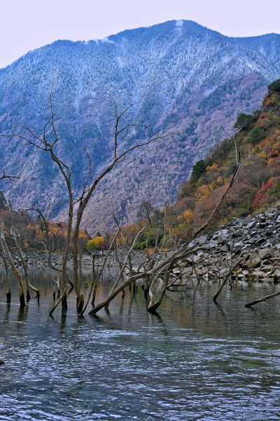 ��ī���� ����/��