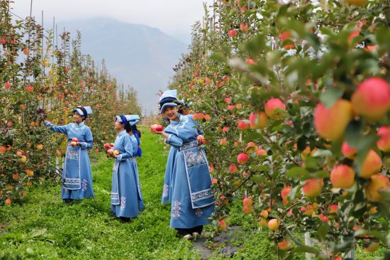 ��Ǽ����Ů�� ����h/��