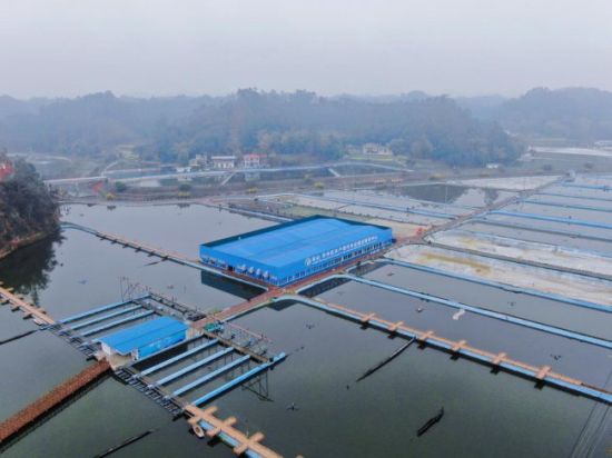 �����������ˮ����ֳ����(ʡ���Ǽ��ִ�ũҵ԰��)