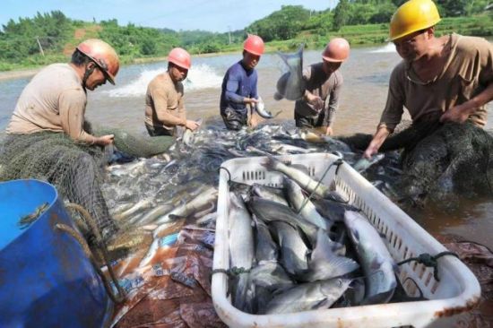 ��ɽ����