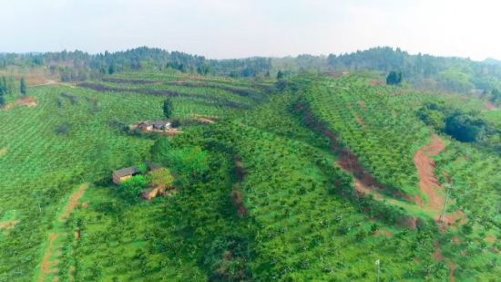 ��ϪԴ���ٲ�ҵ԰