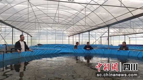 鸭嘴鱼。简阳融媒 供图 鸭嘴鱼。简阳融媒 供图