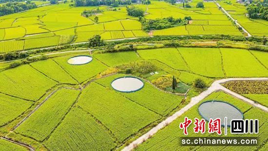 现代农业产业园。兴业银行成都分行 供图 现代农业产业园。兴业银行成都分行 供图