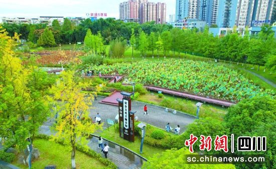 以安全文化为主题的营山县朗池湿地公园一角。杨汉国 摄 以安全文化为主题的营山县朗池湿地公园一角。杨汉国 摄