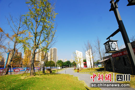宜宾城市景观。陈忆 摄 宜宾城市景观。陈忆 摄