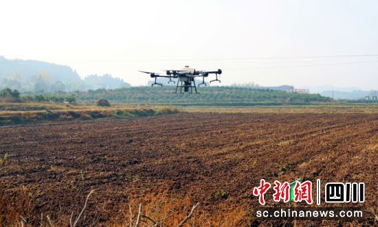 无人机正在进行小麦播种。廖桂华 摄 无人机正在进行小麦播种。廖桂华 摄