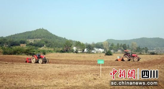 粮王生态农业有限公司种植基地,小麦播种忙。廖桂华 摄 粮王生态农业有限公司种植基地,小麦播种忙。廖桂华 摄