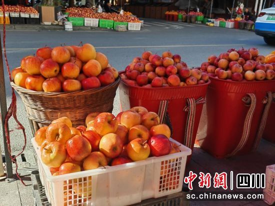 汶川“糖心”苹果大量上市。 汶川“糖心”苹果大量上市。