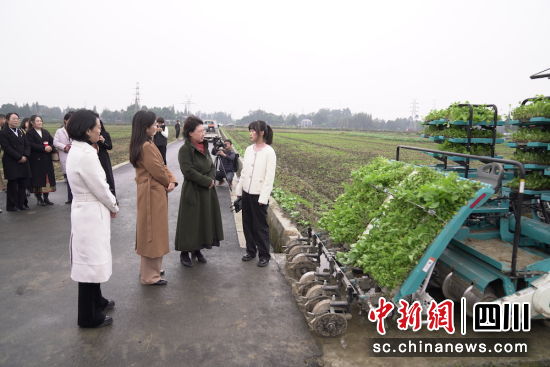 科技兴农现场参观体验现场。成都市妇联 供图 科技兴农现场参观体验现场。成都市妇联 供图