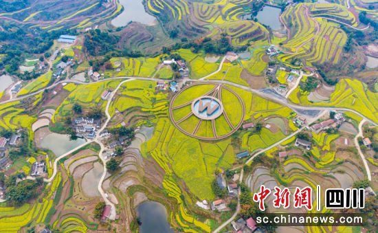 五粮液专用粮基地。 罗平 摄 五粮液专用粮基地。 罗平 摄