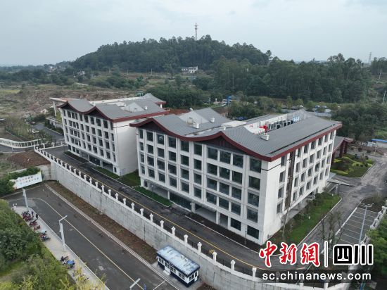 项目现场。中交四航局 供图 项目现场。中交四航局 供图