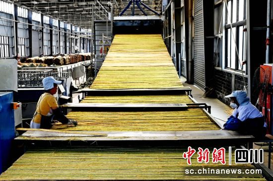 竹钢原材料生产线上工人正将竹片压平成型。王成 摄 竹钢原材料生产线上工人正将竹片压平成型。王成 摄