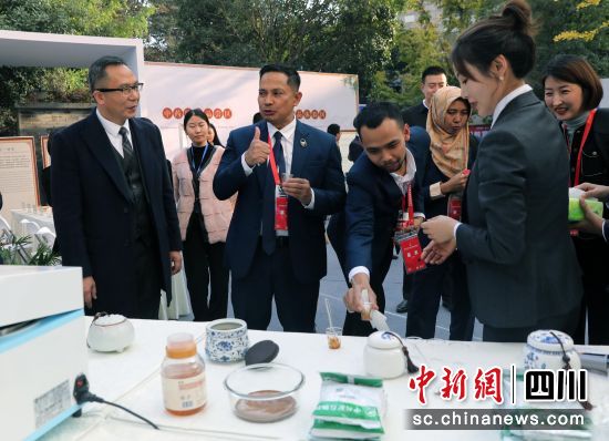 中医药文化体验活动。王磊 摄 中医药文化体验活动。王磊 摄
