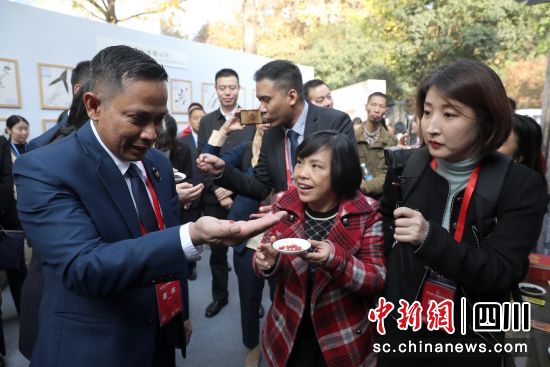 中医药文化体验活动。王磊 摄 中医药文化体验活动。王磊 摄