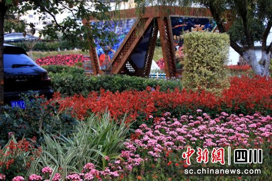 汶川公园绿地花海如潮。汶川县委宣传部 供图 汶川公园绿地花海如潮。汶川县委宣传部 供图