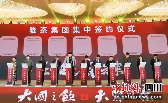 签约现场。雅茶集团 供图 签约现场。雅茶集团 供图
