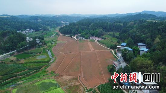 西平镇响石板村已整理的土地。 三台县委宣传部供图 西平镇响石板村已整理的土地。 三台县委宣传部供图