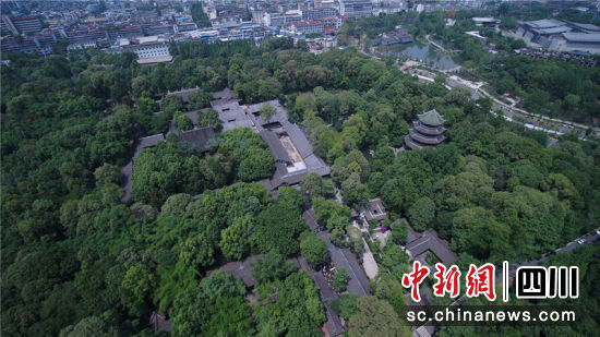 古树名木实景。袁兴艺 摄 古树名木实景。袁兴艺 摄