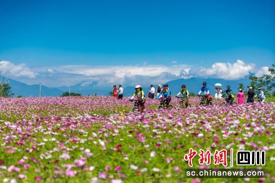 温江汪家湾花海骑行。温江区委宣传部供图 温江汪家湾花海骑行。温江区委宣传部供图